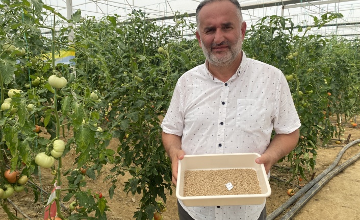 7 türde 50 çeşit tohumu 16 ülkeye ihraç ediyor