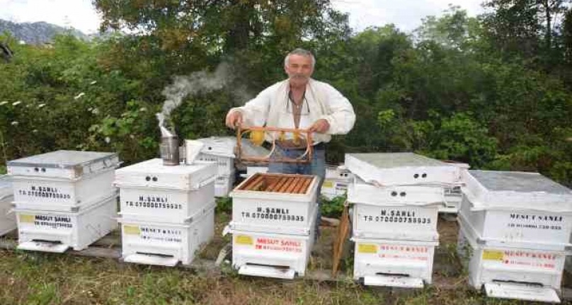Antalya'da arı kovanlarının yeni adresi bin 960 metre rakımlı yaylalar