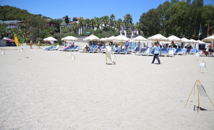 Alanya plajlarında caretta caretta yumurtaları otellerin koruması altında