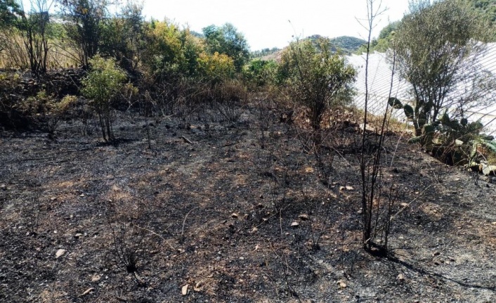 Alanya’da, bahçe yangınında meyve ağaçları ve sulama sistemi zarar gördü