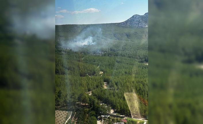 Antalya’da orman yangını