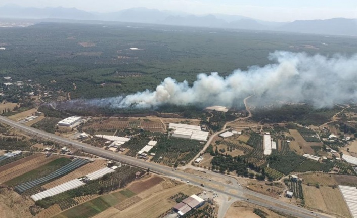Antalya’daki orman yangını 2 saatte kontrol altına alındı, 3 hektar zarar gördü