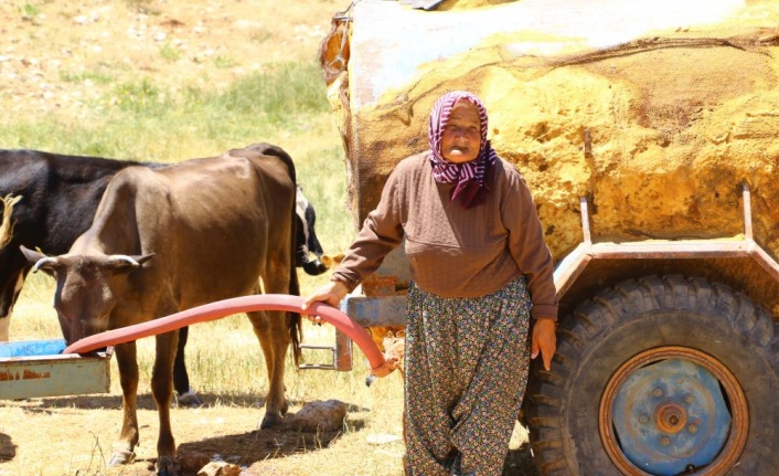 Antalya’nın “Çoban Haritası” çıkartılıyor
