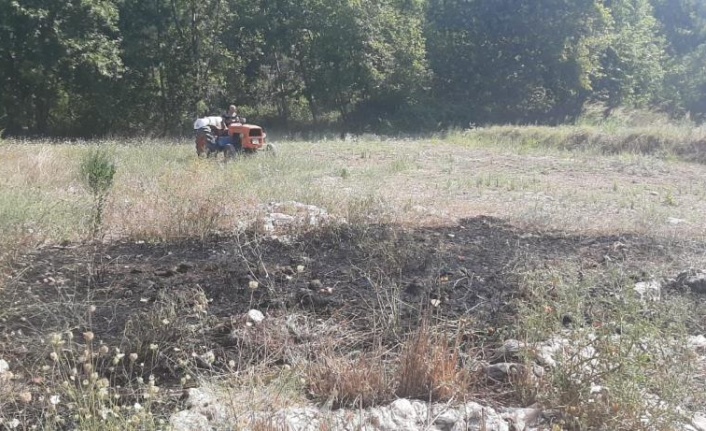 Manavgat'taki yangın ormana sıçramadan söndürüldü