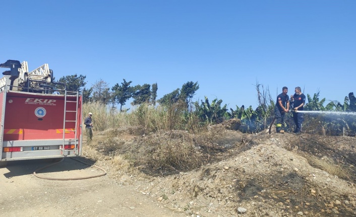 Muz bahçesinde korkutan yangın