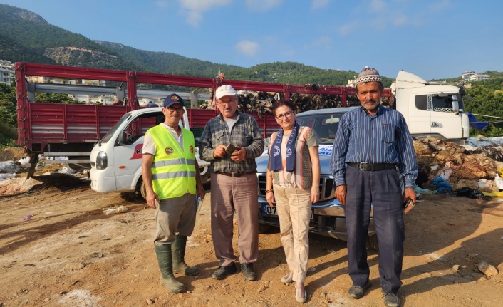 THK Alanya bu yıl 11 bin 312 deri adet topladı 