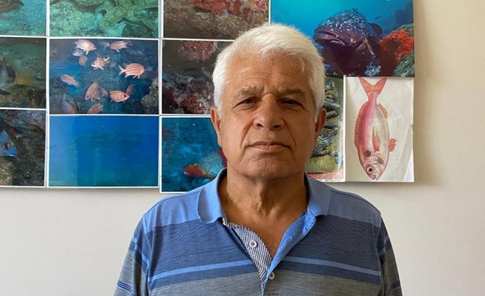 Vatandaşların köpek balığı sanıp taşladığı balık için uzmanından açıklama: “Korkmayın”