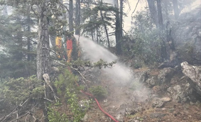 Akseki'deki orman yangınında 45 hektar alan zarar gördü