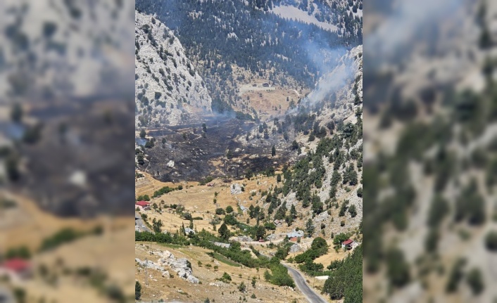 Alanya'daki kırsal alan yangınında 1 hektar zarar gördü