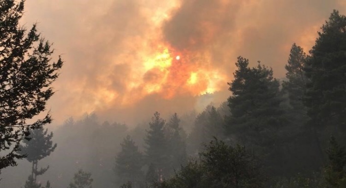 Antalya’da orman yangınına 450 kişilik ekiple müdahale ediyor
