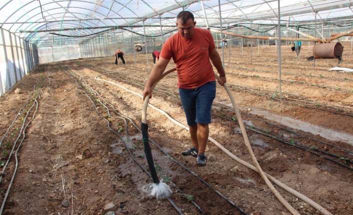 45 bin dekar alanda 130 milyon fidan toprakla buluştu