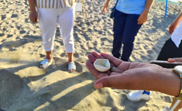 Alanya'da caretta caretta yuvalarındaki yumurtalar tek tek kontrol edildi