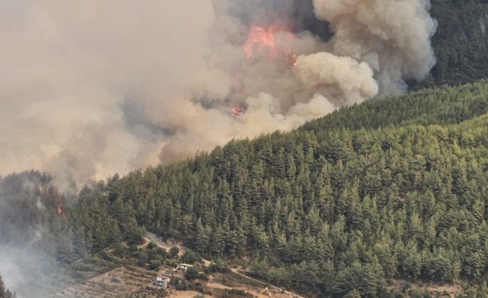 Alanya'da yangın büyüyor! 13 ev tahliye edildi