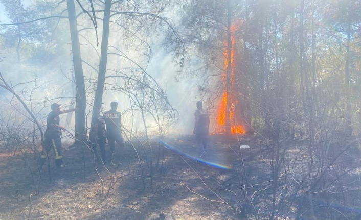 Manavgat’ta ormanlık alanda başlayan ikinci yangın söndürüldü