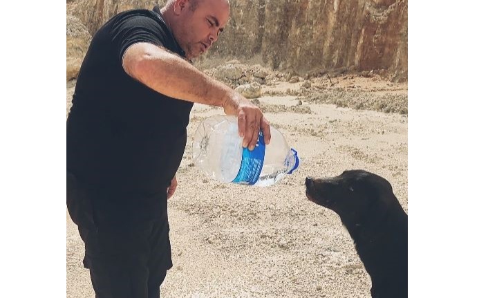 Otomobilindeki 5 litre suyu köpeklere elleriyle içirdi, duygusal anlar yaşandı