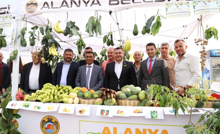 Alanya Belediyesi 2.Tropikal Meyve Festivali başlıyor