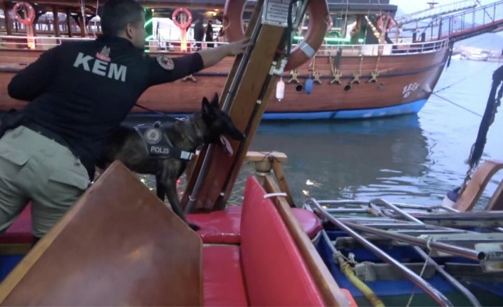 Alanya'da narkotik ekipleri yatlar ve gezi teknelerini denetledi