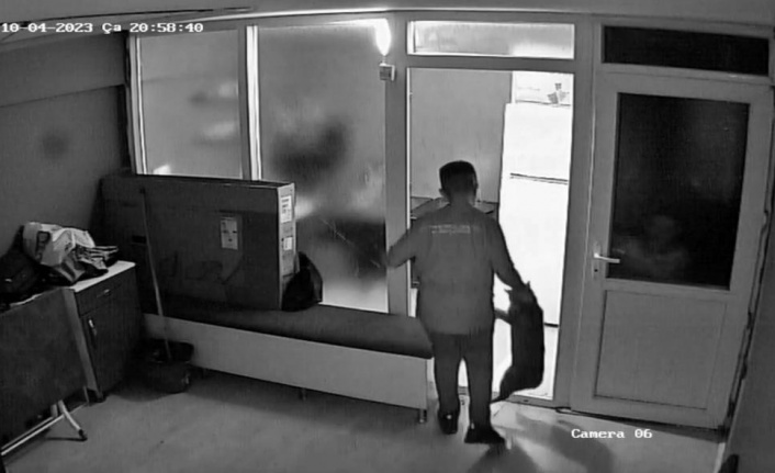 İşe yeni başlayan çırak, kuaförün kedisini dakikalarca tekme ve yumruklarla darp etti