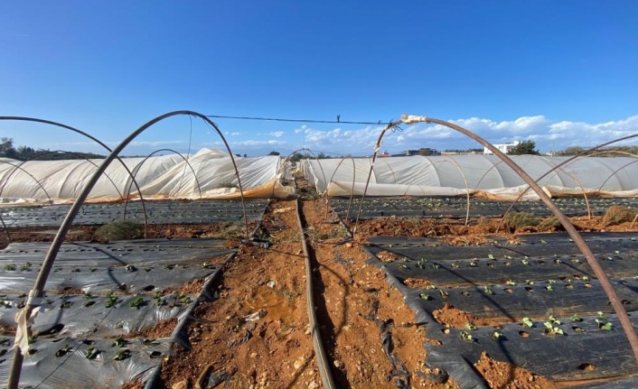 Fırtına seralara da zarar verdi