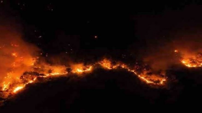 Gazipaşa’daki orman yangını ekiplerin zamanında müdahalesiyle kontrol altına alındı