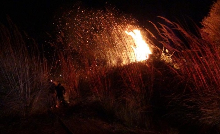 Manavgat'ta sazlık alanda yangın