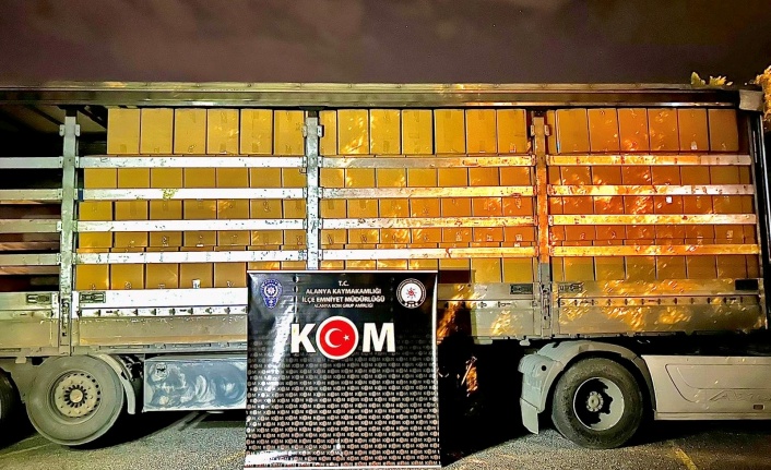 Alanya’da rekor kaçak tütün operasyonu!