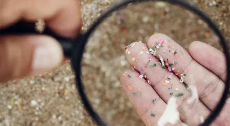 Alanya’da sağlıklı zannedip sakın yemeyin