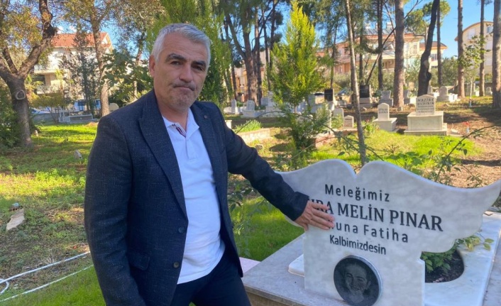 Türkiye'de sokak hayvanlarıyla ilgili acı tablo: 21 ayda 40’ı çocuk 92 kişi hayatını kaybetti