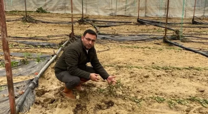 Alanya’da sağanak yağış 14 dönüm ekili alana zarar verdi