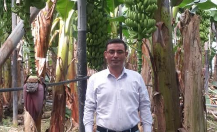 Anamur ve Manavgat’ta pahalı! Alanya’da değerinin altında…