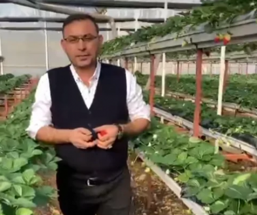 Topraksız tarım heyecanı