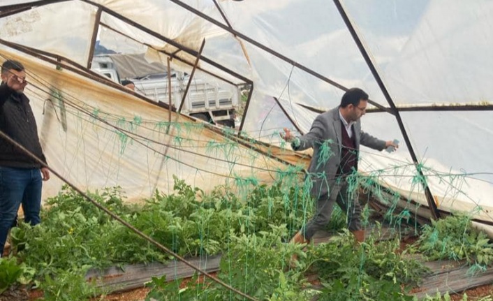 Alanyalı üreticiyi dolu vurdu