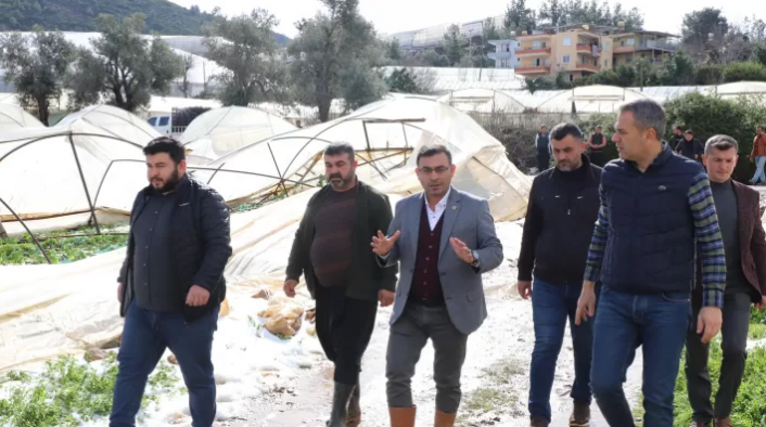Başkan Tavlı’dan Alanyalı mağdur üreticiye teselli