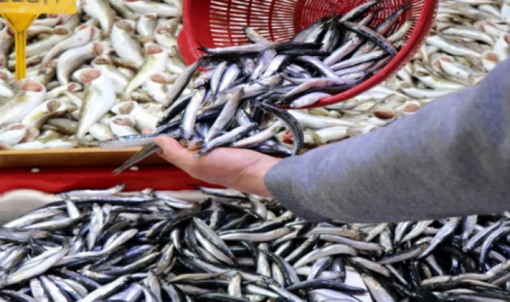 Alanya'da balıkçılar sezondan umudu kesti