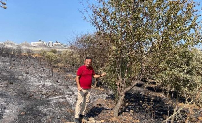 Alanyalı üreticilere önemli uyarı