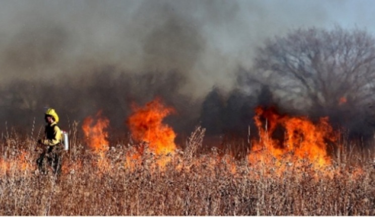 Alanya'da insansız hava aracı düştü! Ormanda yangın çıktı