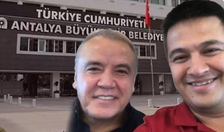 Tavlı'dan Böcek’e yeğen tepkisi