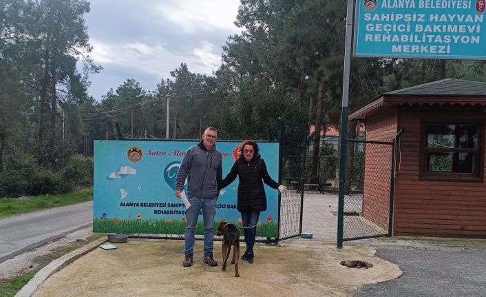 Alanya'da can dostları emin ellerde