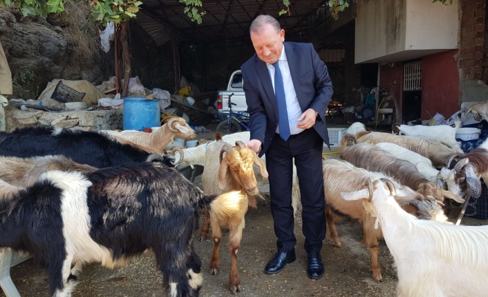 Kırsal Kalkınma Yatırımların Desteklemesi başvuruları başladı
