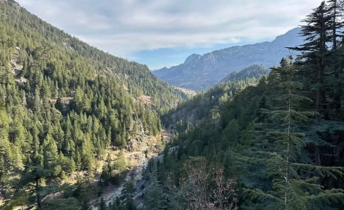 Akkaya'dan Çayarası Yaylası için müjdeli haber geldi