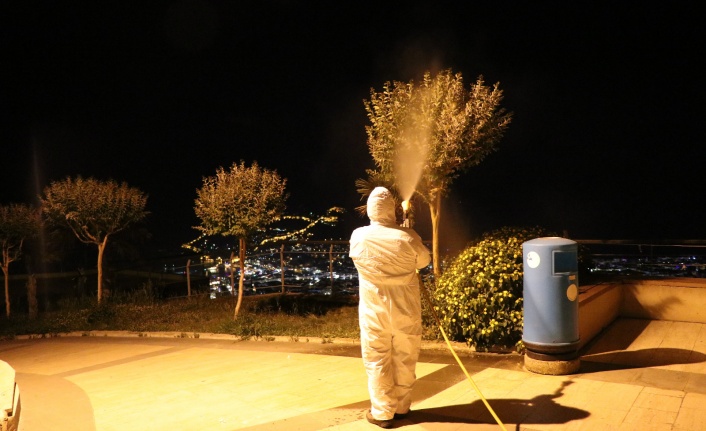 Alanya Belediyesi'nden yeşil alanlarda zirai mücadele