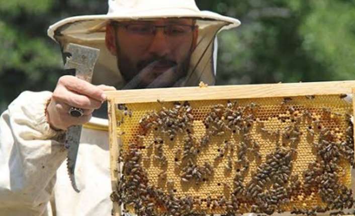 Alanya'da bal üretim rekoru