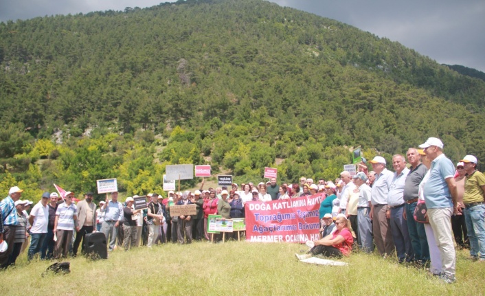 Taş ocağı tepkisi