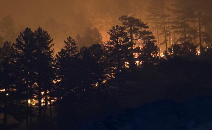 İşte Alanya’daki 40 hektarlık alanın kül olma nedeni