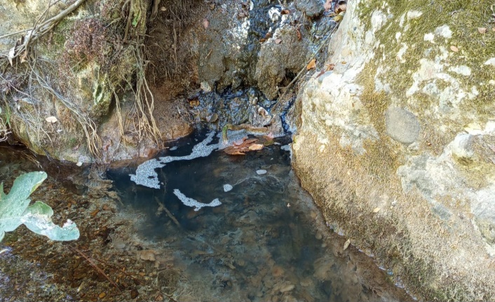 'Alanya halkının sağlığı bu kadar ucuz olmamalı'