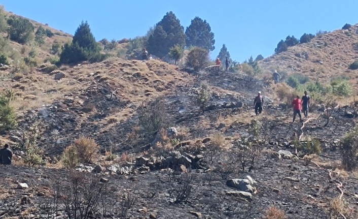 Alanya'nın yaylasında korkutan yangın