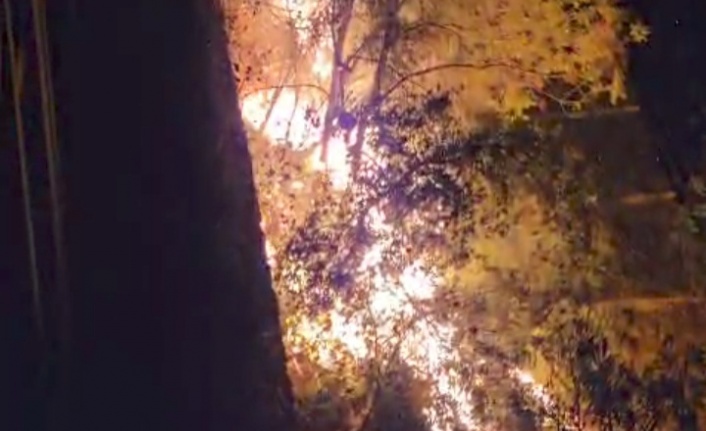 Alanya terasta yangın paniği