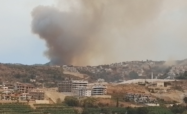 Yangın Kargıcak'taki villalara sıçradı