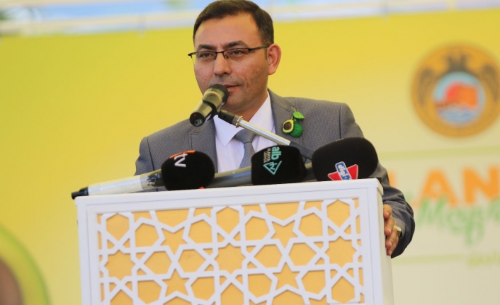 Alanya'da avokado nasıl nasıl satılmalı?