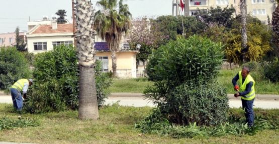 Akdeniz Belediyesi Bahar Temizliğine Başladı 